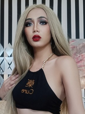 Thai ladyboys for dating / Ladyboys from Philippines for dating