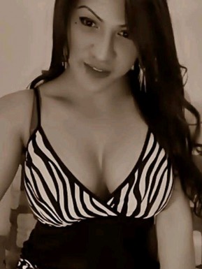 Thai ladyboys for dating / Ladyboys from Philippines for dating