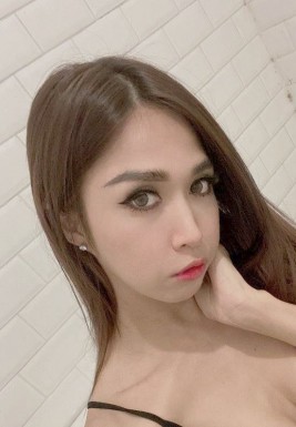 Thai ladyboys for dating / Ladyboys from Philippines for dating