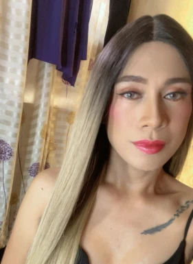 Thai ladyboys for dating / Ladyboys from Philippines for dating