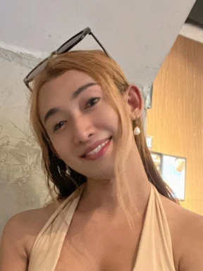 Thai ladyboys for dating / Ladyboys from Philippines for dating